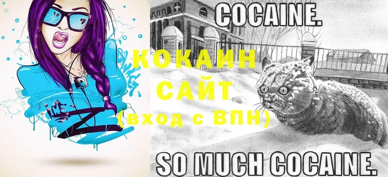 закладки  Челябинск  mega tor  COCAIN Columbia 