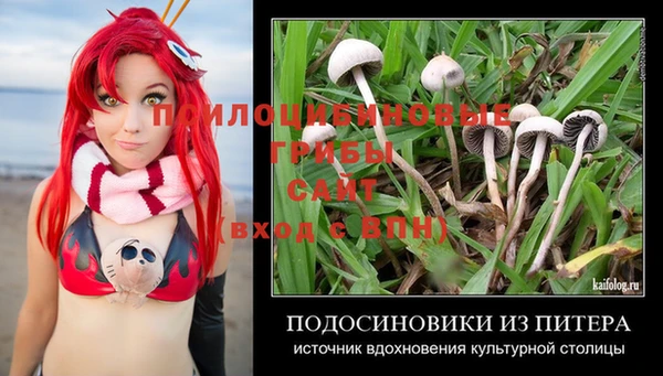 spice Волоколамск