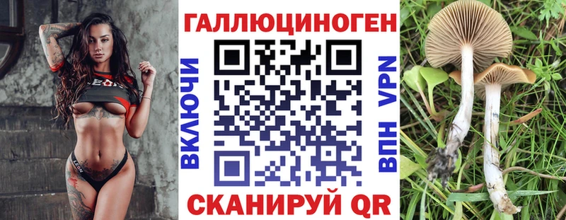 мориарти какой сайт  Челябинск  Псилоцибиновые грибы Magic Shrooms  где продают  