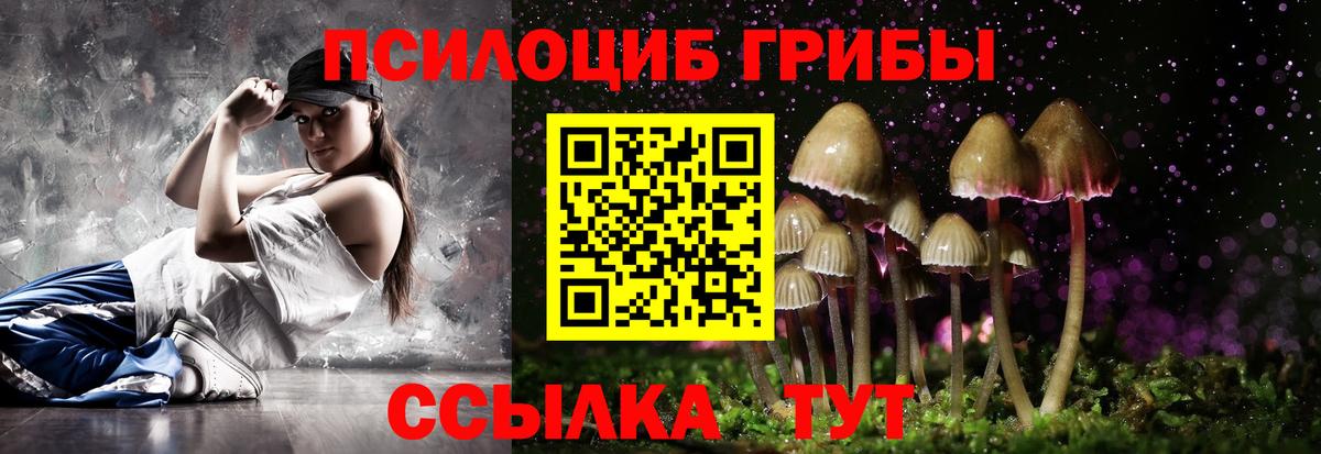 Псилоцибиновые грибы Cubensis  Псилоцибиновые грибы Psilocybine cubensis  Челябинск  Вход с VPN 